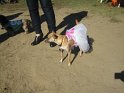 halloween 2010 034